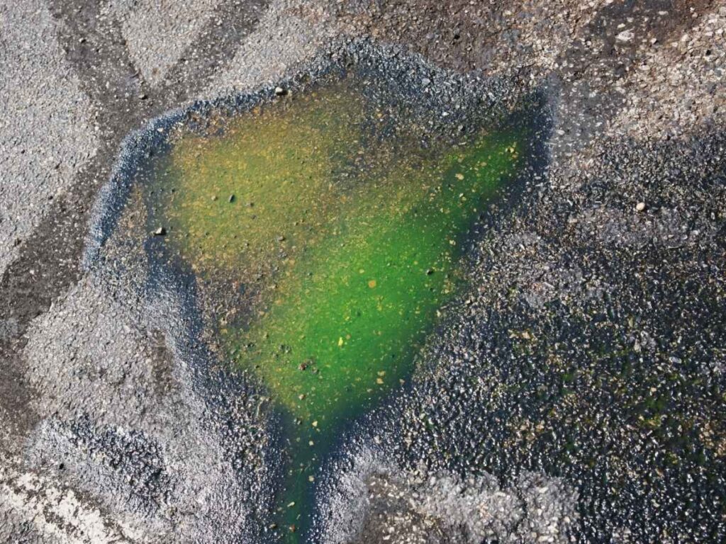 All German Auto image showing green coolant on the floor, illustrating coolant leaks in German cars.